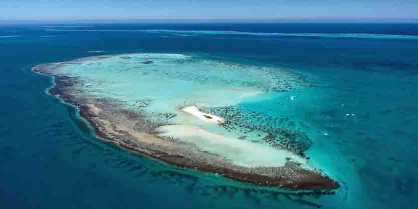 Goeland-island-noumea-new-caledonia